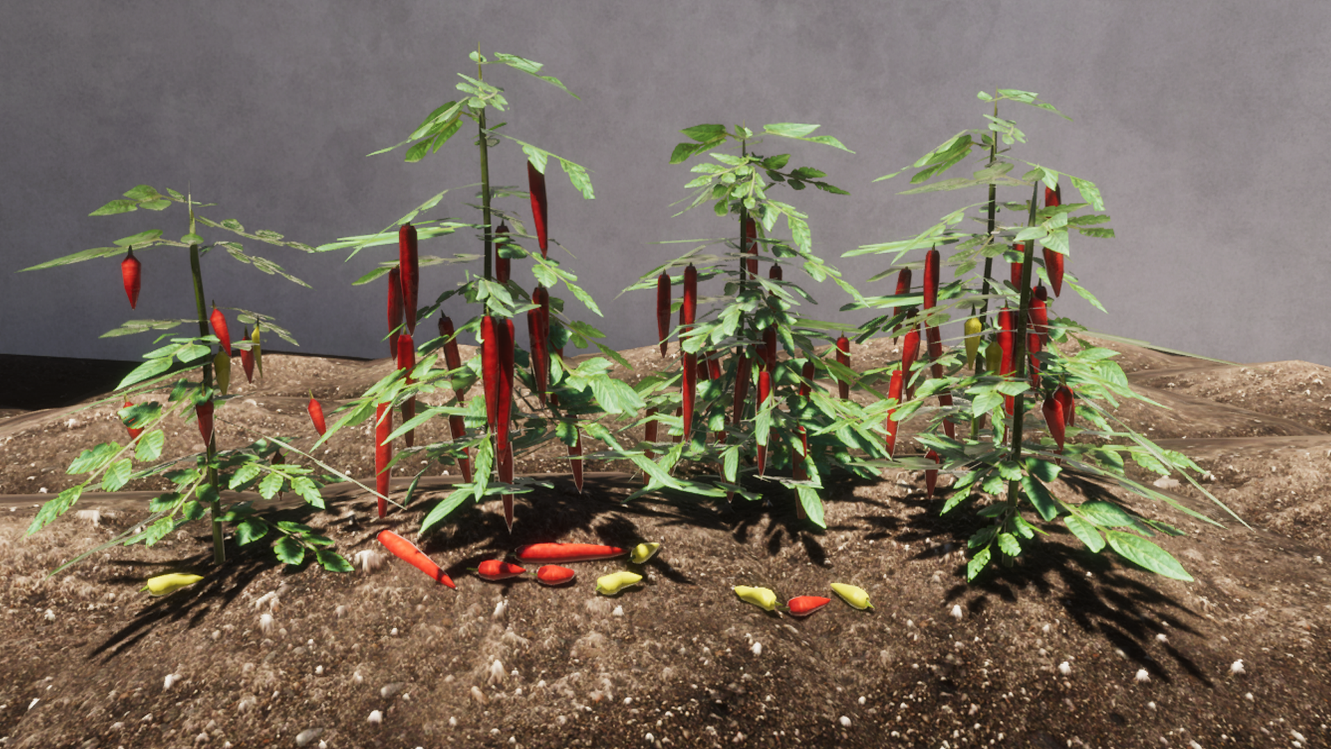 An image showing Vegetable Plants Updateasset pack, created with Unity Engine.