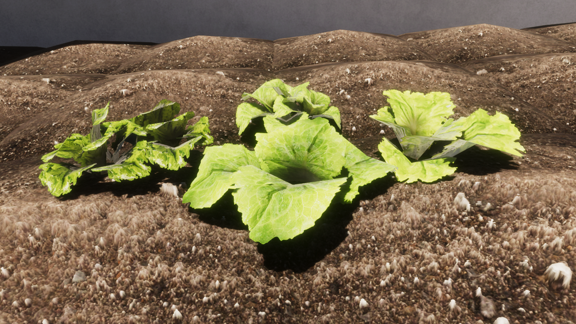 An image showing Vegetable Plants Updateasset pack, created with Unity Engine.