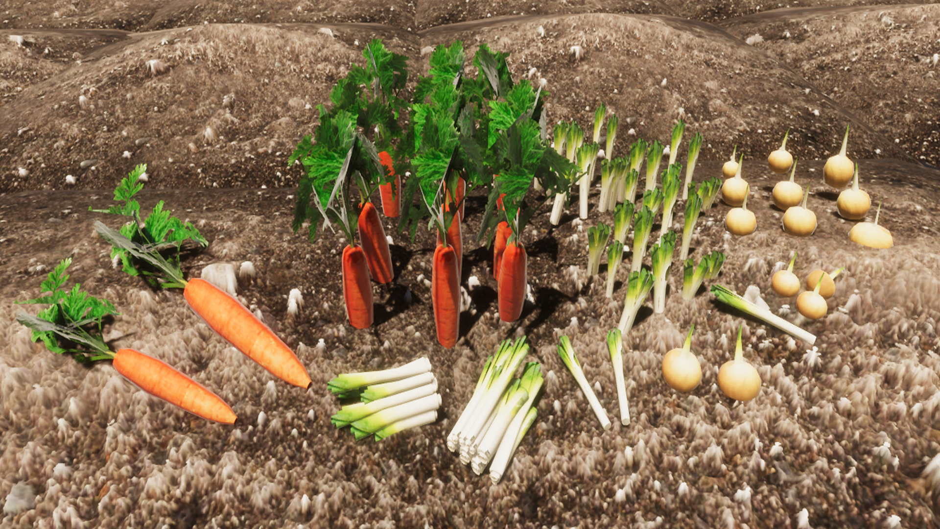 An image showing Vegetable Plants Updateasset pack, created with Unity Engine.