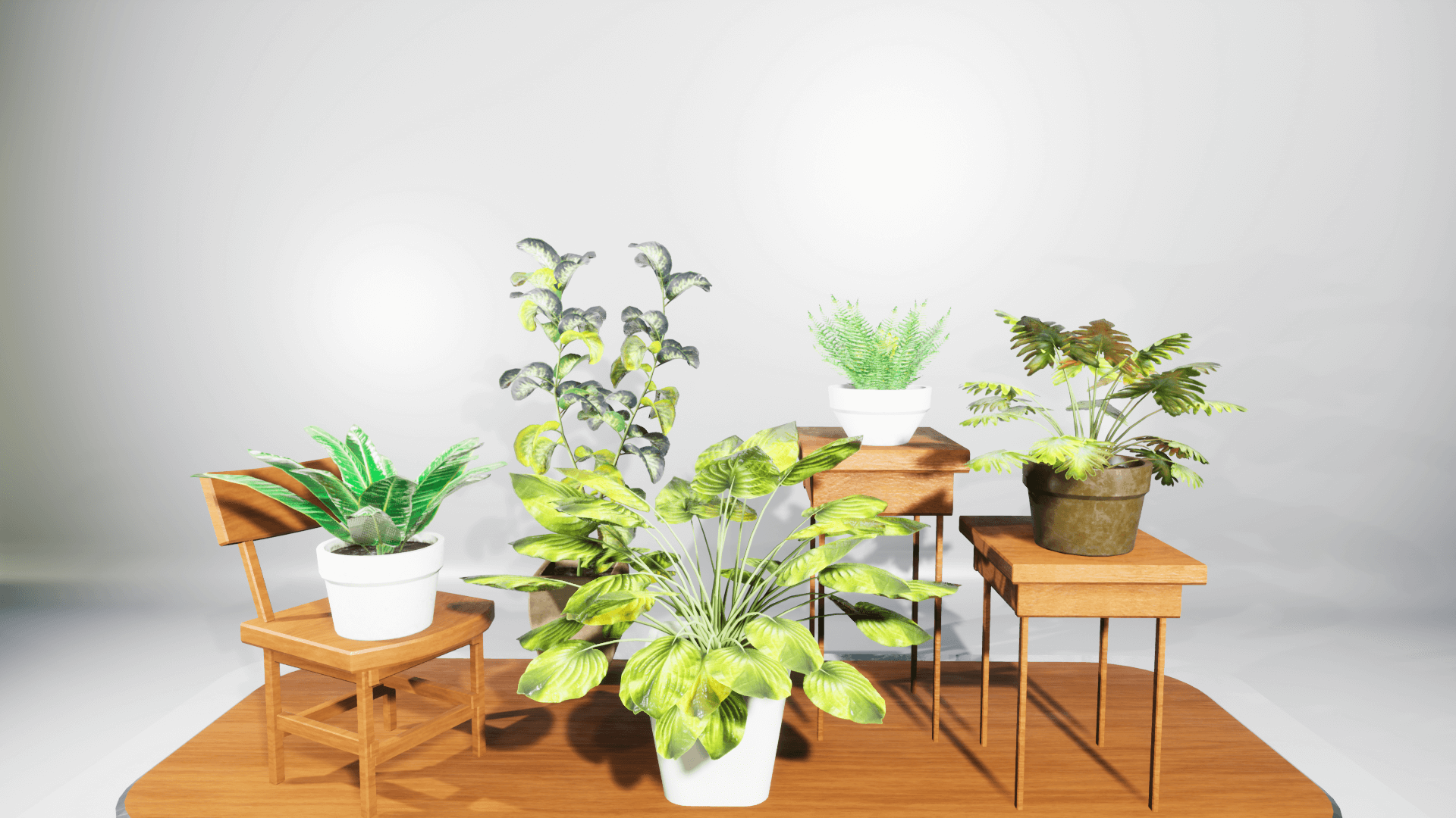 Dexsoft Games - High Quality 3D Models and Game Assets An image showing House Plants asset pack, created with Unreal Engine