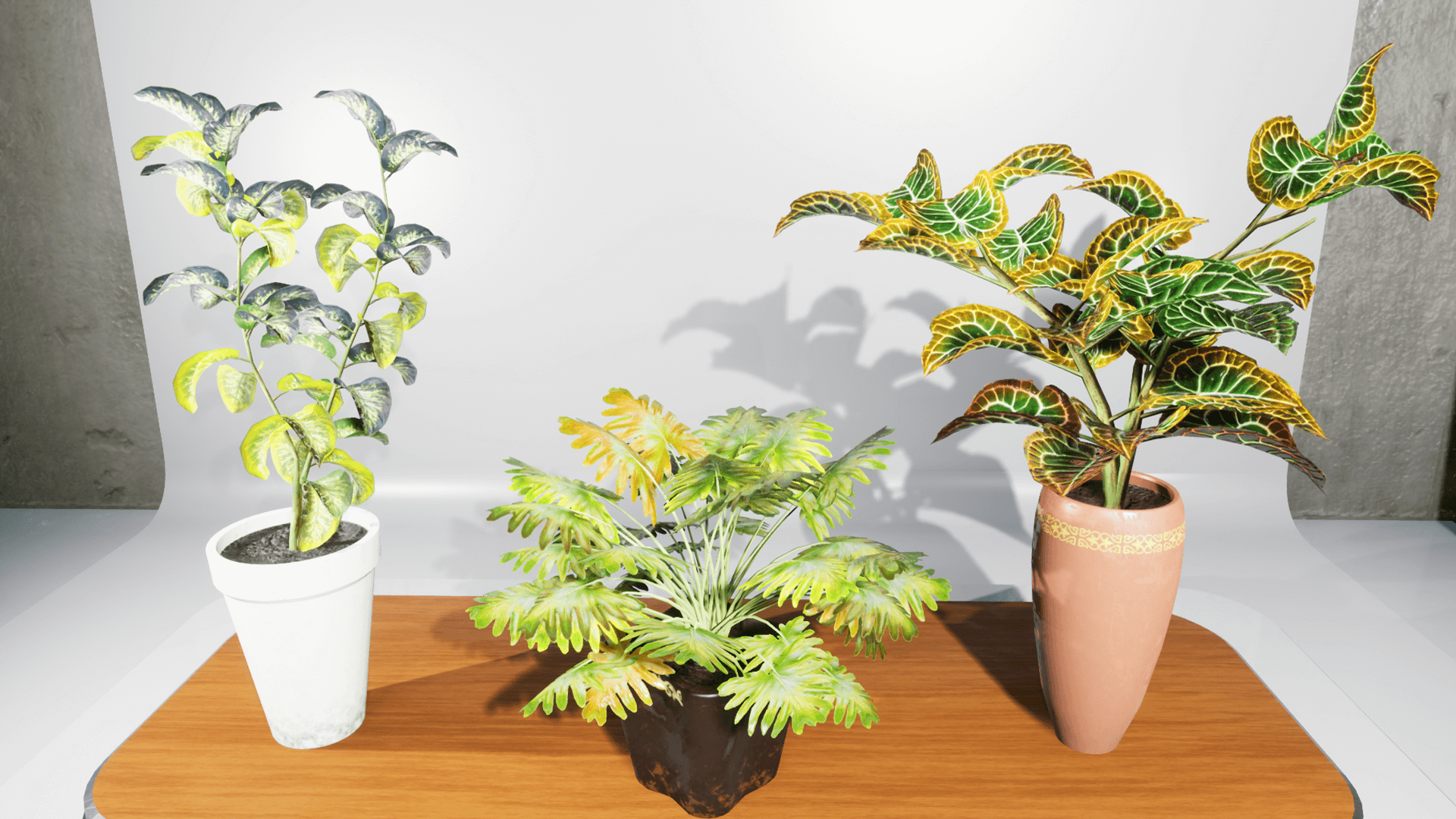 Dexsoft Games - High Quality 3D Models and Game Assets An image showing House Plants asset pack, created with Unreal Engine